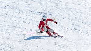 林安可赛季数据解析